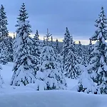 Feriehus Stunning In With Sauna