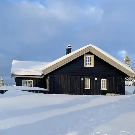 Stunning In With Sauna Sjusjoen
