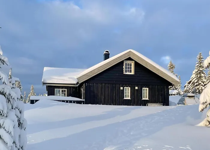 Stunning In With Sauna Sjusjoen